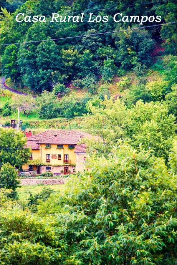 Casa Rural Los Campos Corao Extérieur photo