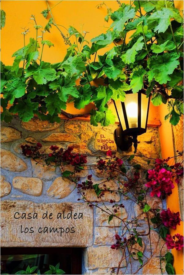 Casa Rural Los Campos Corao Extérieur photo