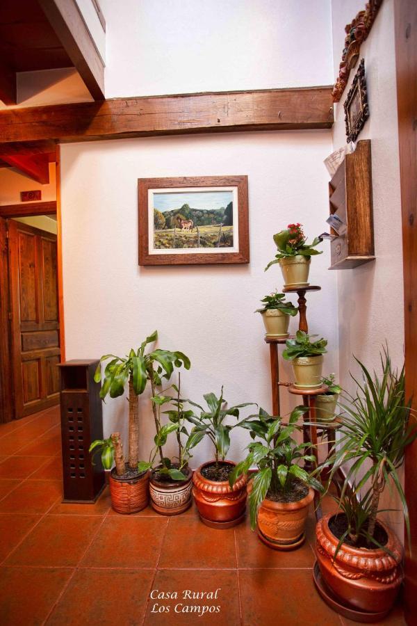 Casa Rural Los Campos Corao Extérieur photo